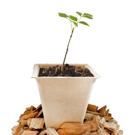 Godets compostables 9*9*9.5 cm