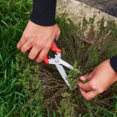 Cisaille polyvalente Felco 456