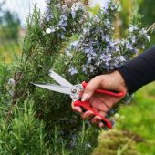 Cisaille polyvalente Felco 456