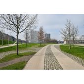 G&eacute;otextile triple couche anti-racines