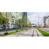 G&eacute;otextile triple couche anti-racines