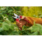 S&eacute;cateur Felco 171