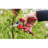 S&eacute;cateur Felco 171