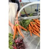 Stand de lavage avec p&eacute;dale