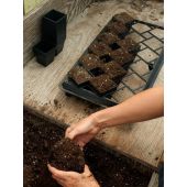 Plaque de transport pour 18 Winstrip XL Pot