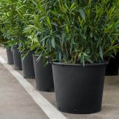 Conteneur PE noir 2 poign&eacute;es