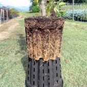 Paniers anti-chignon