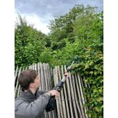 S&eacute;cateur &eacute;lectrique sur perche