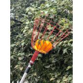 Cueille-fruits grand mod&egrave;le