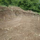 25 piquets h&ecirc;tre