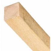 25 piquets h&ecirc;tre