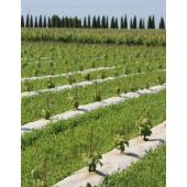 Toile de paillage base chanvre*