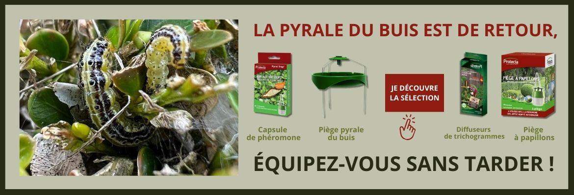 Savoirs, outillage et matériel pour la permaculture au jardin