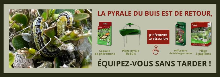 Savoirs, outillage et matériel pour la permaculture au jardin